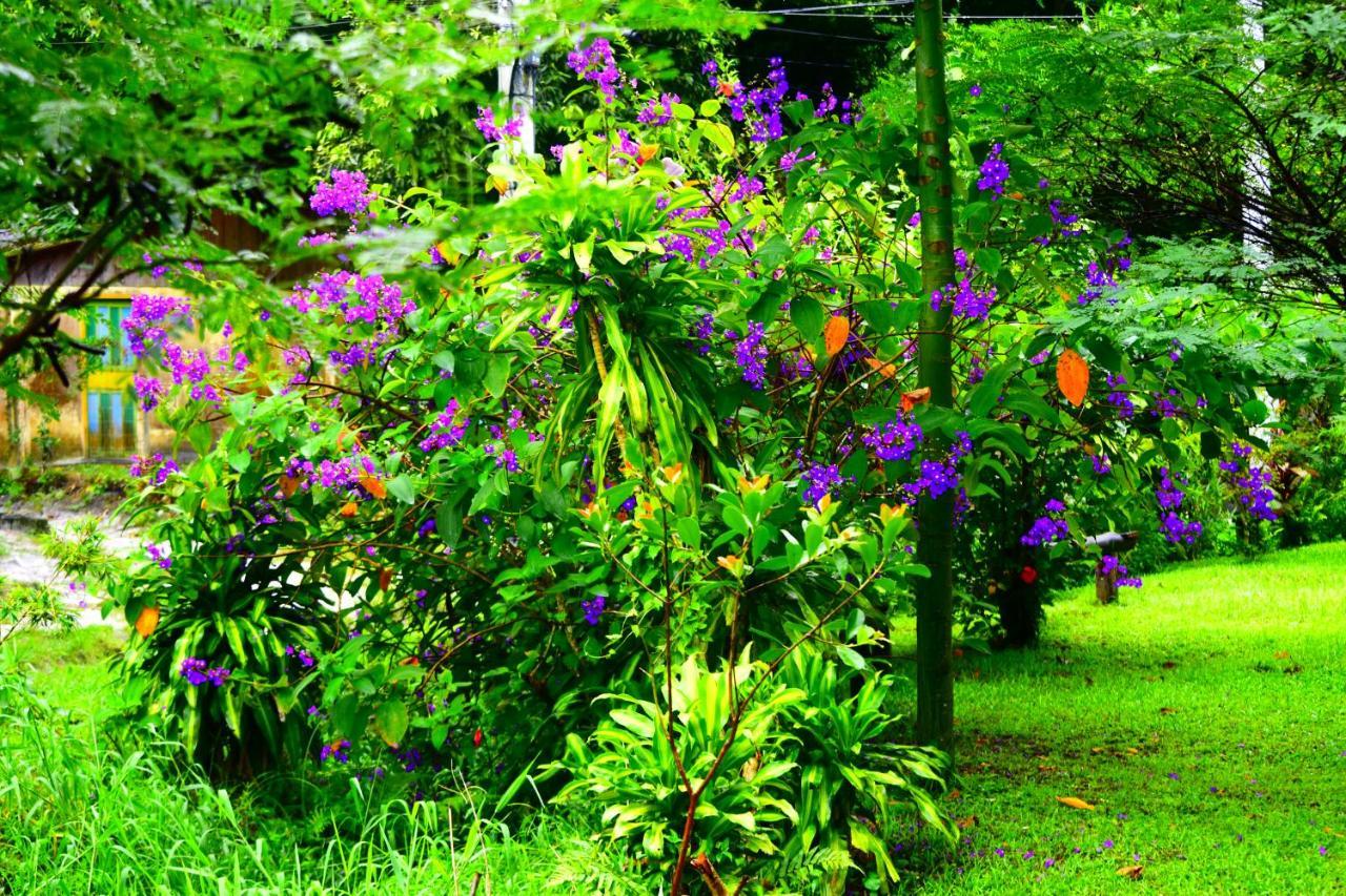 Pousada Duda Mel Ilha do Mel Kültér fotó
